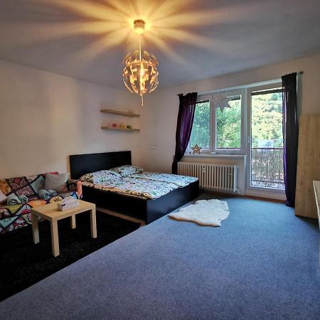 דירות ברנו Cely Apartman Podlesi 54M2 S Dvema Balkony A S Novou Manzelskou Posteli, Zatim Neni Na Fotkach מראה חיצוני תמונה