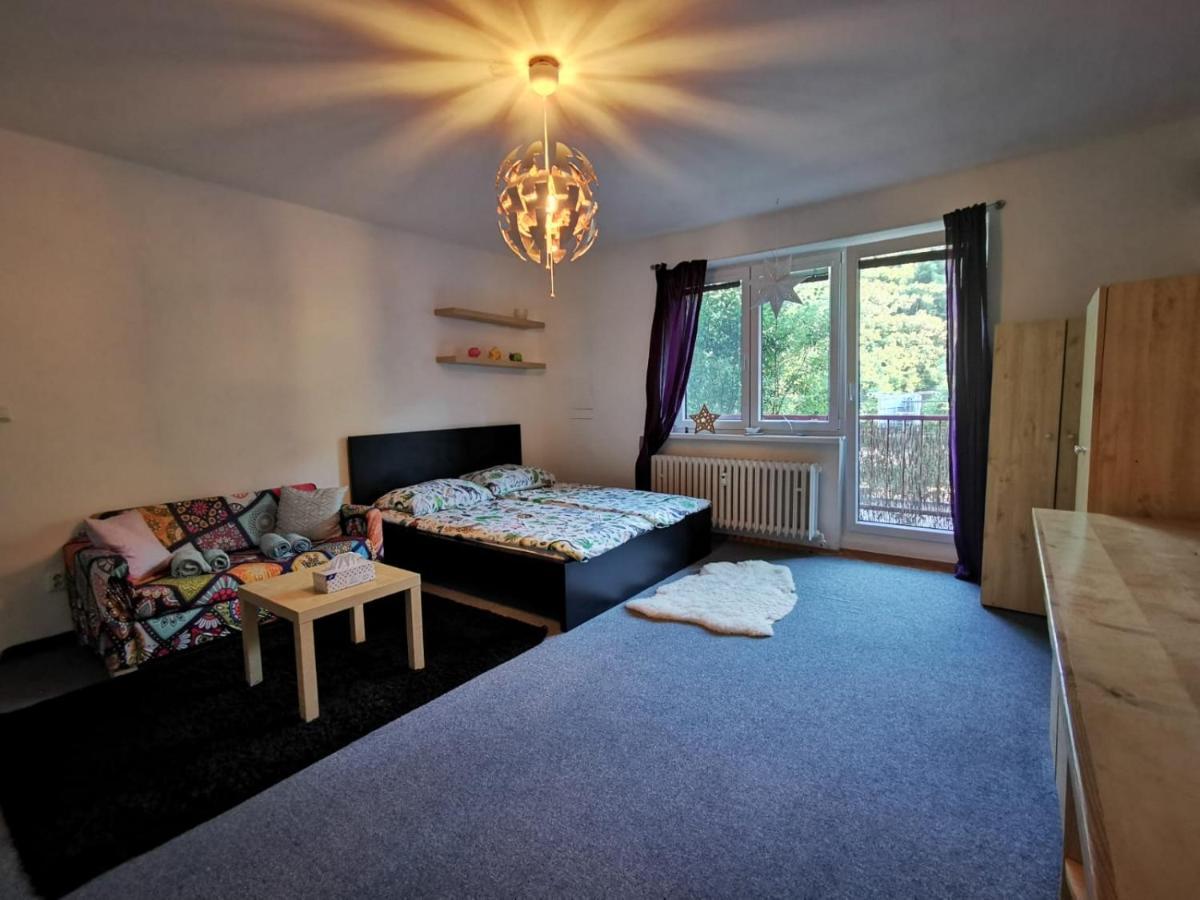 דירות ברנו Cely Apartman Podlesi 54M2 S Dvema Balkony A S Novou Manzelskou Posteli, Zatim Neni Na Fotkach מראה חיצוני תמונה